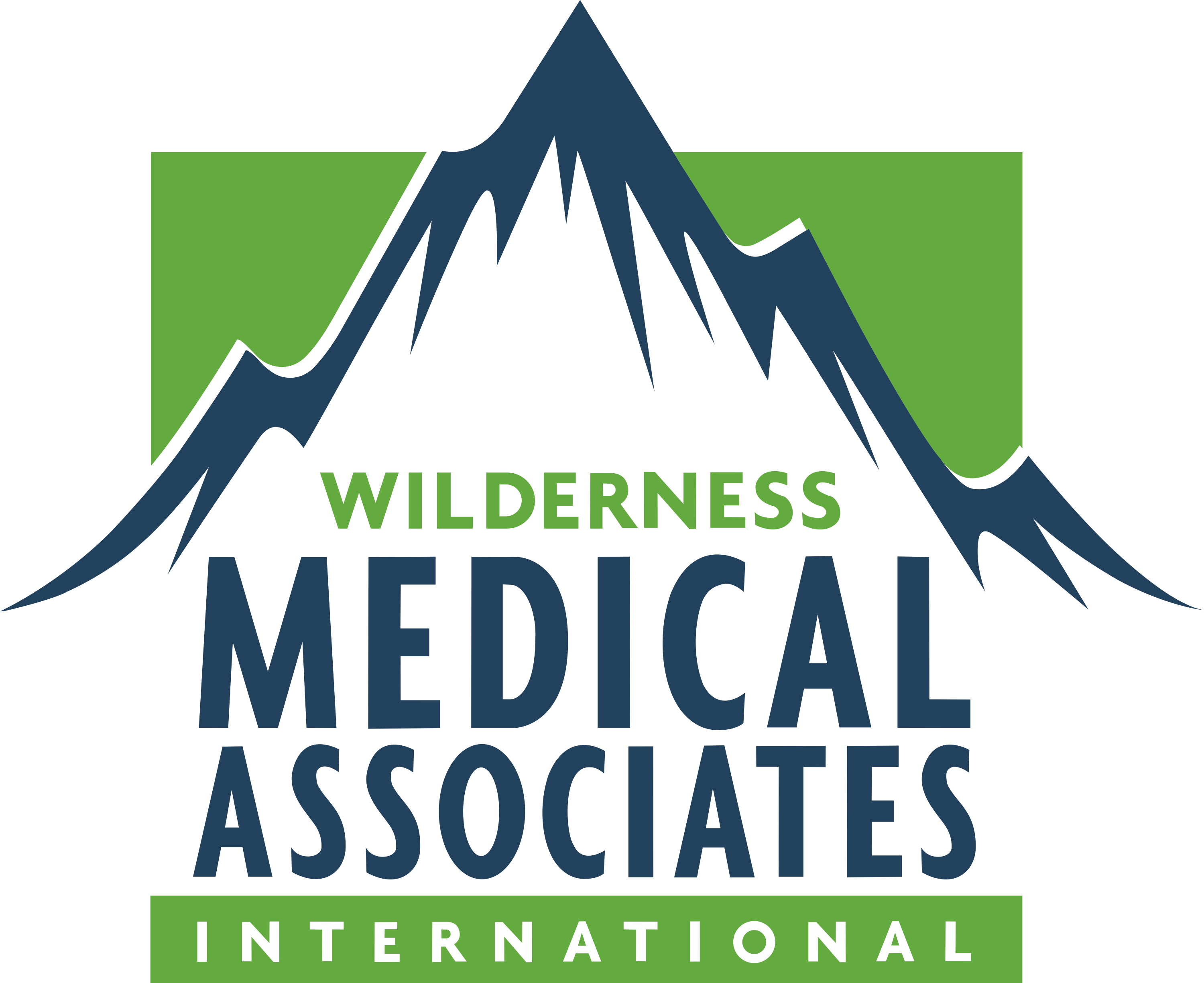 国际野外医学协会（WMAI）