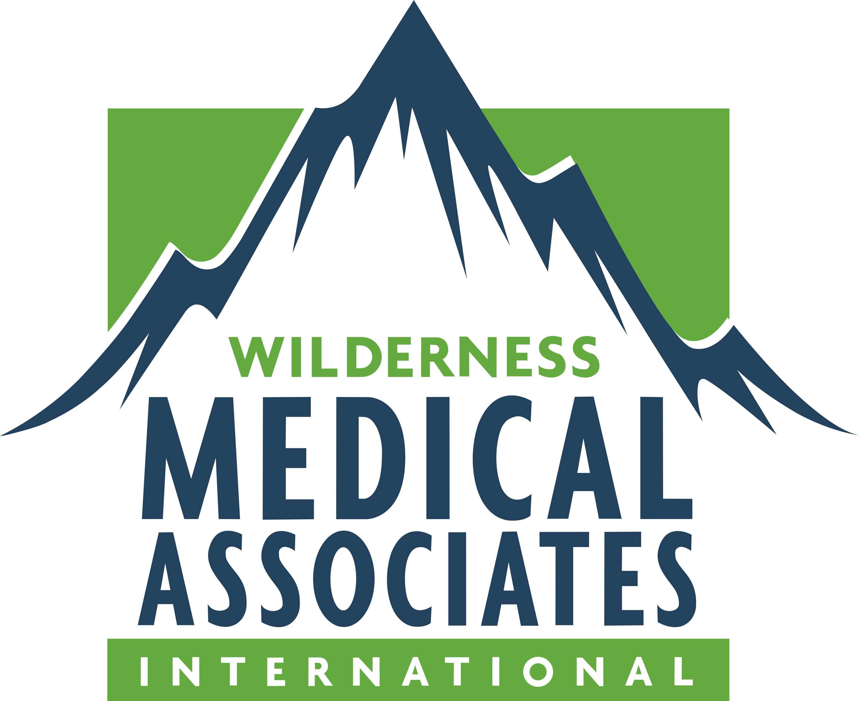 wildmed-logo.png